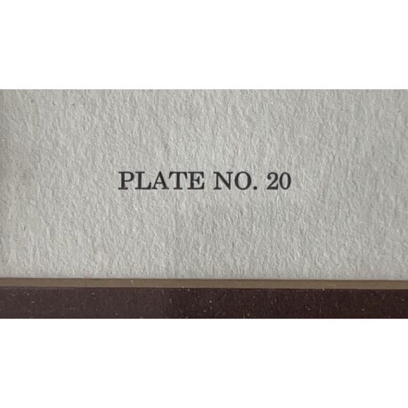 Jim Oliver Signed Print Eastern Chipmunks Framed Wildlife Art Plate 20 - Picture 7 of 15